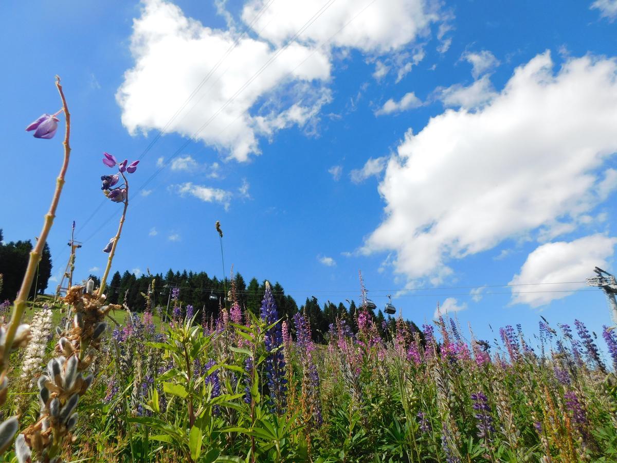 Rathaushotels Oberwiesenthal All Inclusive エクステリア 写真