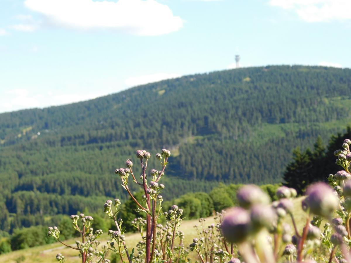Rathaushotels Oberwiesenthal All Inclusive エクステリア 写真